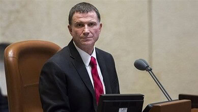 يولي إدلشتاين