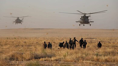 التحالف الدولي