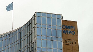 المنظمة العالمية للملكية الفكرية