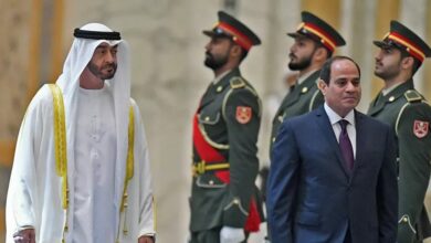 السيسي - بن زايد