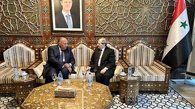 سامح شكري و فيصل المقداد