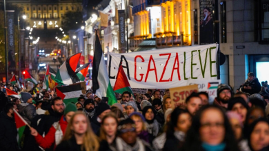 A demonstration in support of the Palestinians in the Norwegian capital, Oslo, November 4, 2024