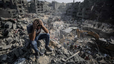 Amnesty International calls for an investigation into three war crimes committed by Israel against the Palestinians