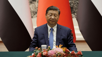Xi Expresses Deep Pain