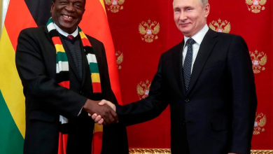 Putin with Emmerson Mnangagwa