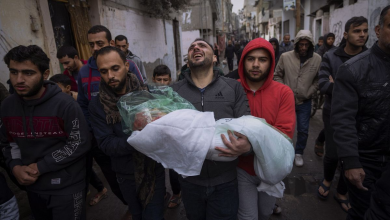 The Israeli occupation commits three massacres against Palestinians in Gaza