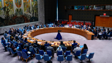 The Security Council decides to support Biden’s proposal for a ceasefire in the Gaza Strip