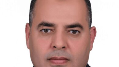 محمود الحنفي