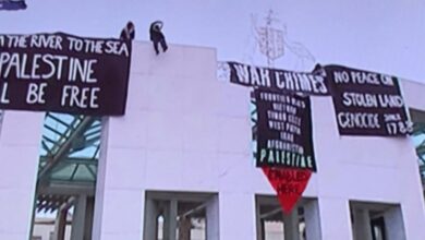 Pro-Palestinian Supporters