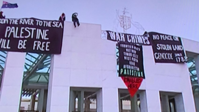 Pro-Palestinian demonstrators take to the roof of the Australian Parliament