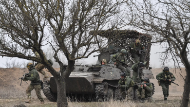 Russian army liberates Nikolaevka and Stelmakhovka towns in Donetsk and Lugansk