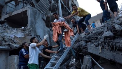 Day 320 of Israeli Genocide in Gaza