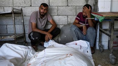 Day 321 of Genocide in Gaza