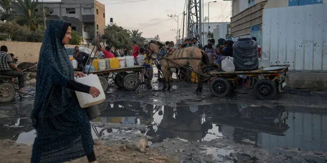 UNRWA warns of huge spike in hepatitis infections among displaced people in Gaza Strip