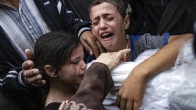 By Day 337 of Israeli Genocide in Gaza