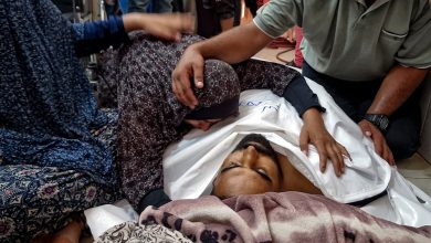 Day 334 of Israeli Genocide in Gaza