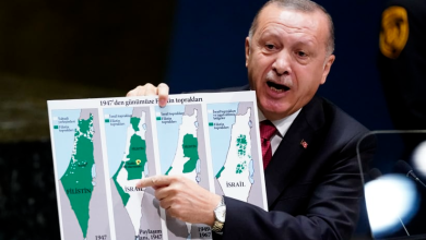 Erdogan reveals the names of the countries whose lands Israel seeks to occupy