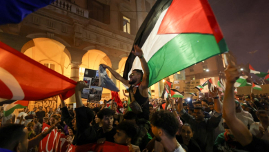 Italy Pro-Palestinian Demonstrations