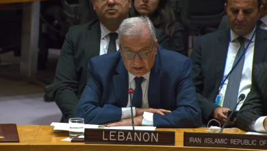 Lebanese Foreign Minister Israel is a rogue state and cannot be allowed to get away with it