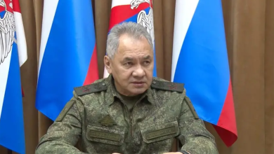 Shoigu