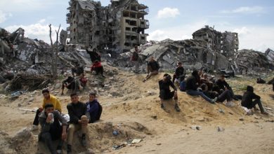 Day 374 of Israeli Genocide in Gaza