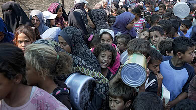 Day 378 of Aggression on Gaza