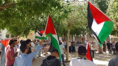 Largest Solidarity March with Lebanon