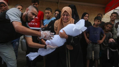 One Year of Gaza Genocide