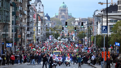 Thousands Rally in Brussels