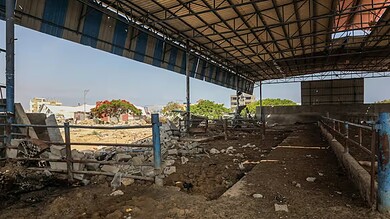 Israel Destroyed Huge Gaza Areas for Crops