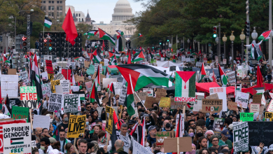 Pro-Palestinian demonstrations sweep across many world capitals