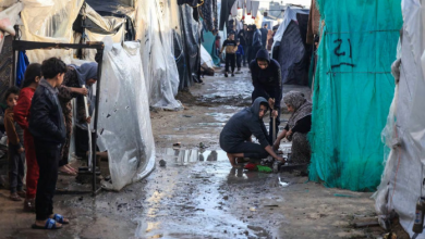 UNRWA warns of winter that will exacerbate the tragedy of the displaced in the Gaza Strip