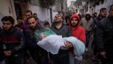 Lazzarini Israel kills a Palestinian child every hour in the Gaza Strip