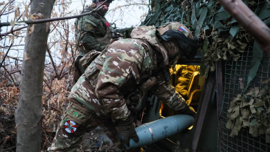 Russian army liberates Petrovka and Ilyinka towns in Donetsk