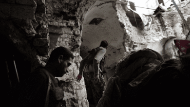 Dozens of terrorists killed in Aleppo and Idlib by Syrian army fire