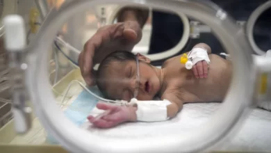 Six Newborns Freeze to Death in Gaza