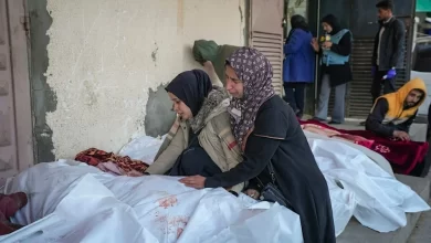 Israel Killed 12,000+ Women in Gaza