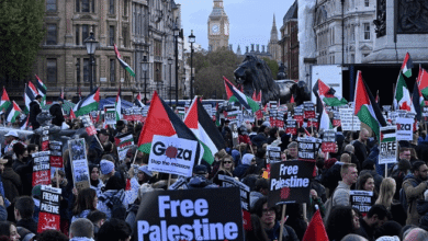 النمسا: تظاهرة حاشدة منددة بجرائم الإبادة الجماعية في غزة