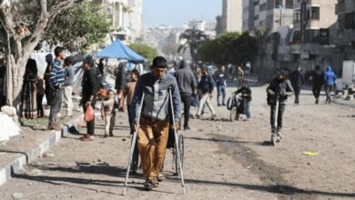 L'Égypte réitère son rejet de toute tentative de déplacement des Palestiniens