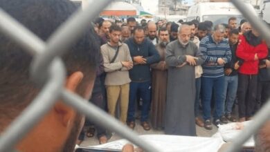 When Pain Meets Patience