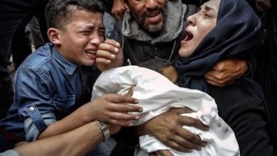 دراسة تكشف عن حصيلة مرعبة لضحايا الإبادة في غزة