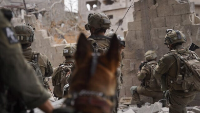 الفاشي نتنياهو يتحدث عن تنفيذ عملية "مكثفة" في غزة للقضاء على حماس