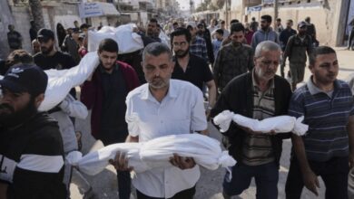 Conseil de l'Europe: Les actes à Gaza vont dans le sens d'un nettoyage ethnique et d'un génocide