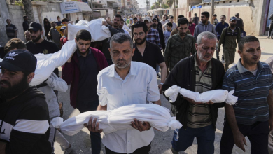 Conseil de l'Europe: Les actes à Gaza vont dans le sens d'un nettoyage ethnique et d'un génocide