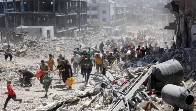 Le bilan des morts de la guerre israélienne contre Gaza s'élève à 55 998