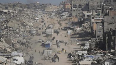 Le bilan des morts dans la bande de Gaza s'élevait à 55 959