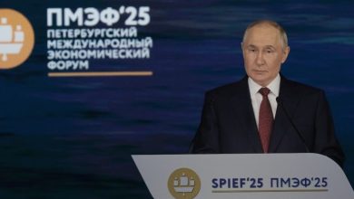 Poutine réaffirme son soutien à l'utilisation pacifique de l'énergie nucléaire par l'Iran