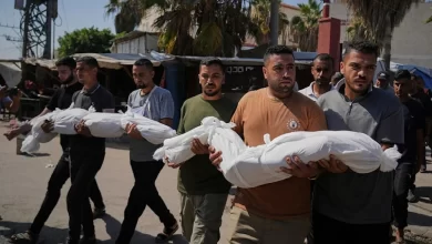 Over 60 martyrs in Gaza