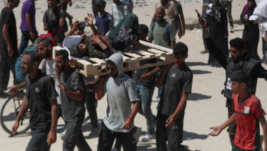 Over 700 Palestinians killed