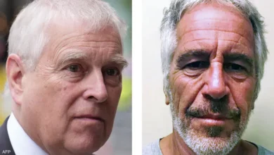 Senior men portrait, close-up of two mature men with gray hair, outdoors.